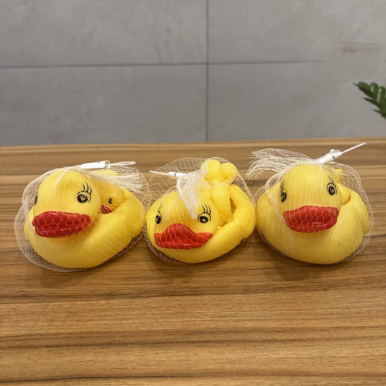 پوپت اردک وان خارجی بزرگ